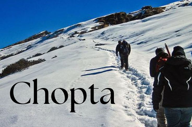 Chopta Tour Package – Trek, Stay & Travel in Uttarakhand